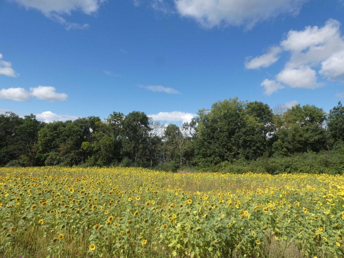 Naturstammhaus Tollensesee Groß Nemerow Eksteriør bilde